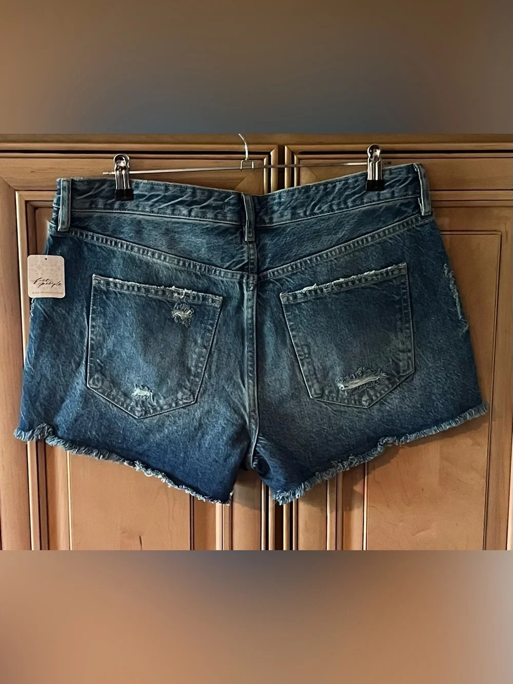 NWT Free People Good Times Shorts